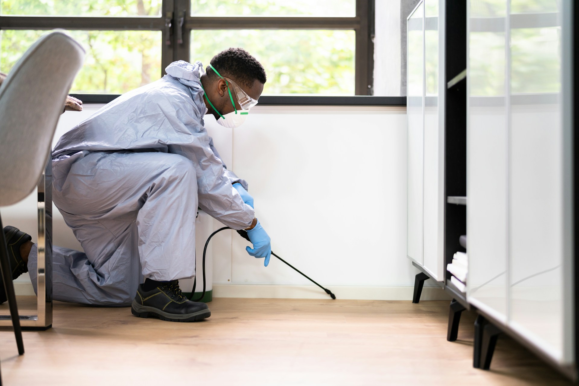Pest Inspection